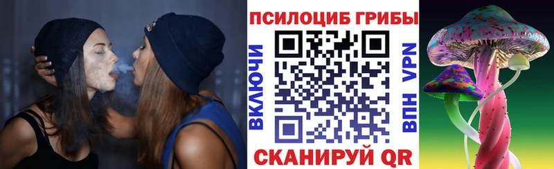 где продают наркотики  Нововоронеж  Псилоцибиновые грибы Psilocybine cubensis 