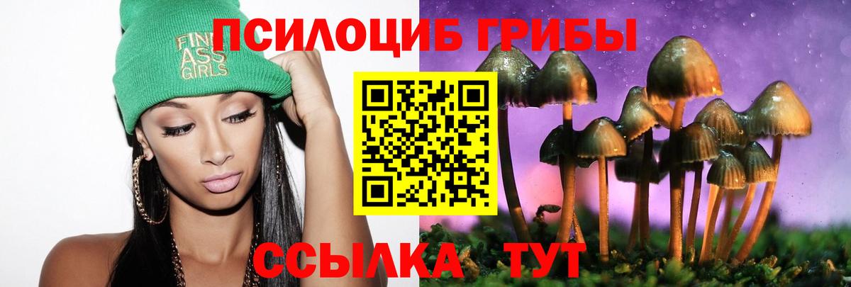 Нововоронеж  Псилоцибиновые грибы мухоморы  Псилоцибиновые грибы MAGIC MUSHROOMS  Вход с VPN 